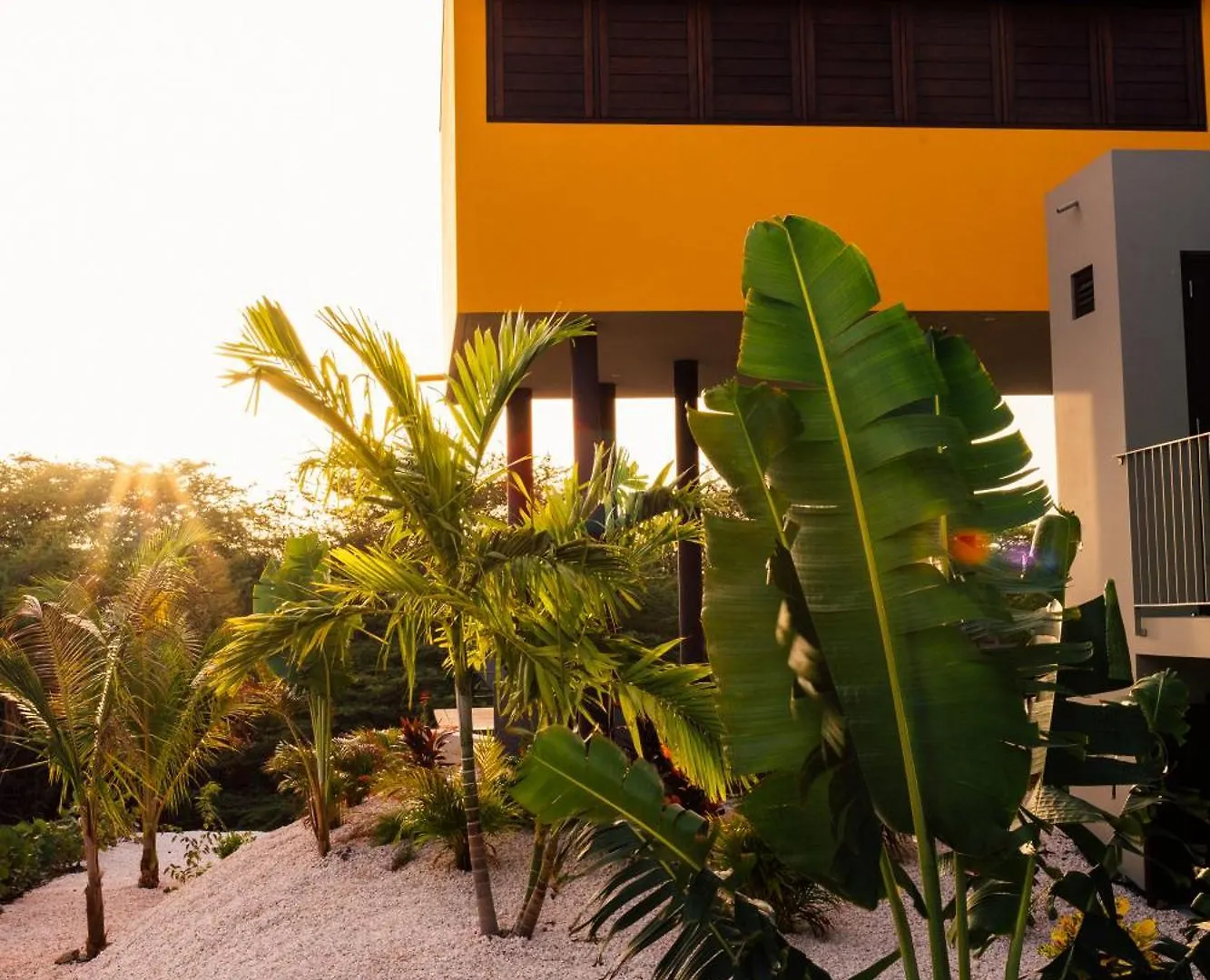 Naturescape Villa Cozy - Sint Michiel Curacao